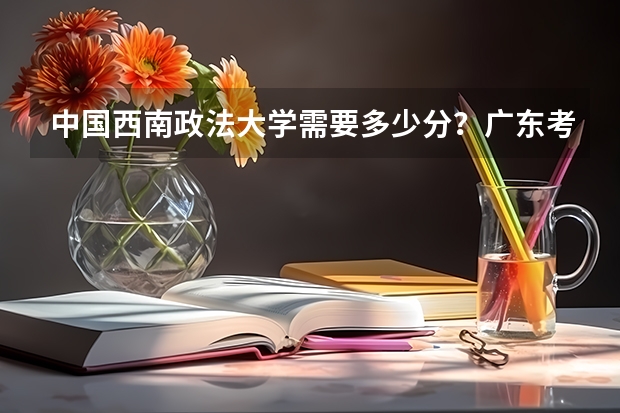 中国西南政法大学需要多少分?广东考生。