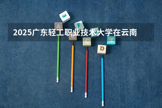 2025广东轻工职业技术大学在云南招生计划预测 大概招多少人