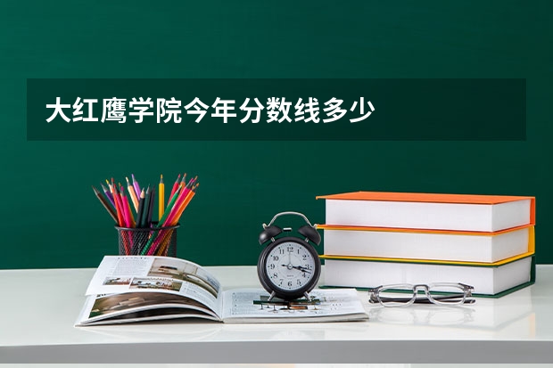 大红鹰学院今年分数线多少