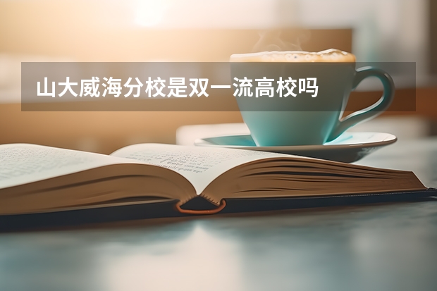 山大威海分校是双一流高校吗
