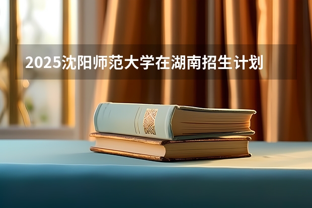 2025沈阳师范大学在湖南招生计划预测 大概招多少人