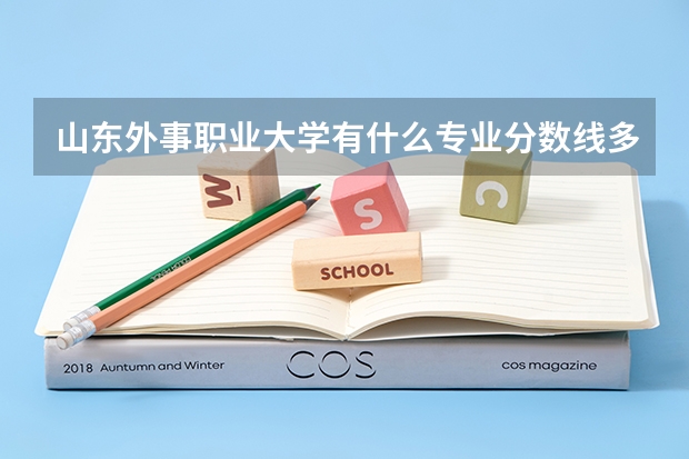 山东外事职业大学有什么专业分数线多少