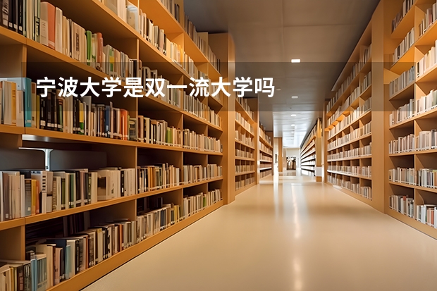 宁波大学是双一流大学吗