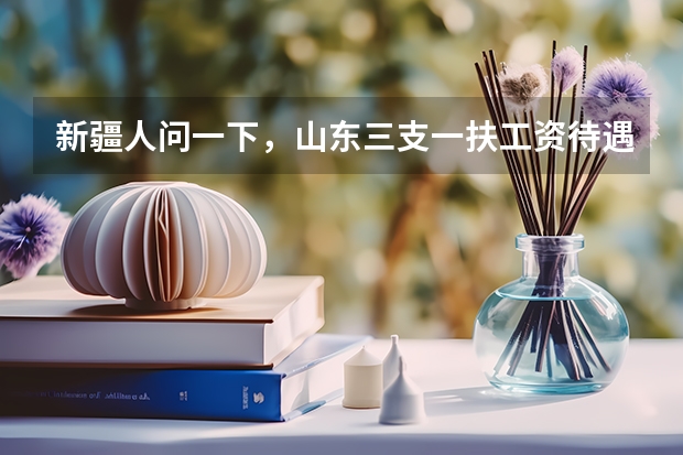 新疆人问一下，山东三支一扶工资待遇怎么样？
