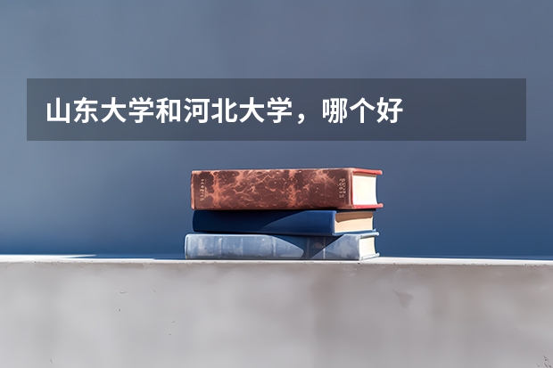 山东大学和河北大学，哪个好