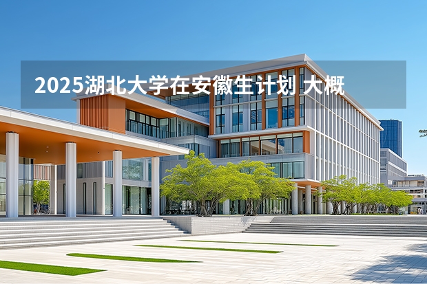 2025湖北大学在安徽生计划 大概招多少人