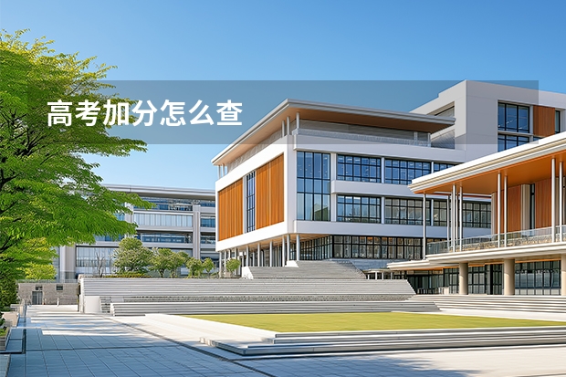 高考加分怎么查