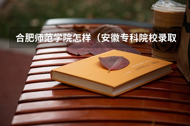 合肥师范学院怎样（安徽专科院校录取分数线）