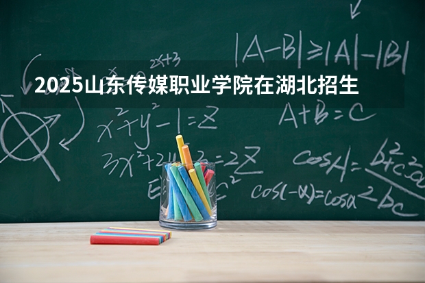 2025山东传媒职业学院在湖北招生计划 大概招多少人