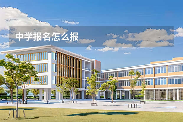 中学报名怎么报