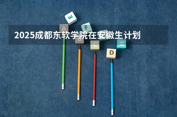 2025成都东软学院在安徽生计划 大概招多少人