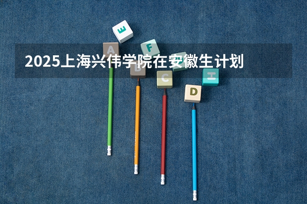 2025上海兴伟学院在安徽生计划 大概招多少人