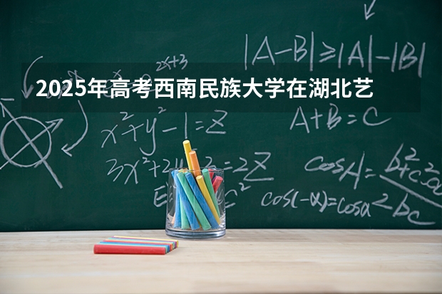 2025年高考西南民族大学在湖北艺术类投档分数线是多少