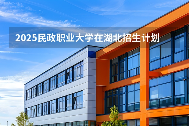 2025民政职业大学在湖北招生计划 大概招多少人
