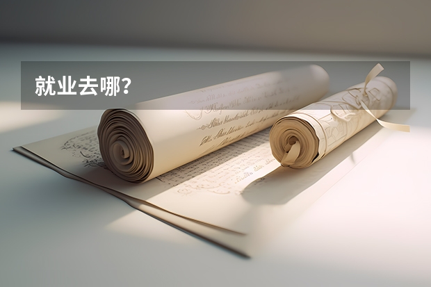 就业去哪？