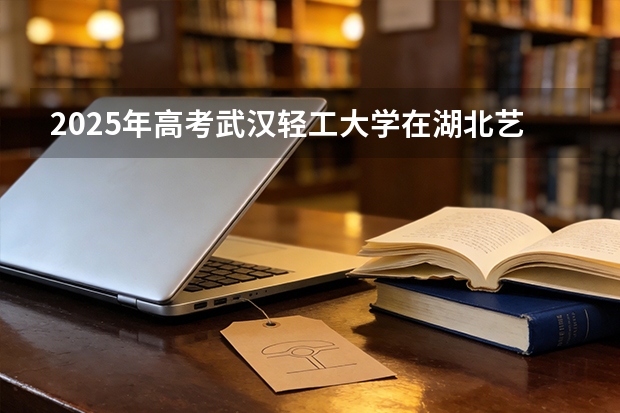 2025年高考武汉轻工大学在湖北艺术类投档分数线是多少（2026参考）