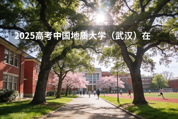 2025高考中国地质大学（武汉）在北京批次线差（2026参考）