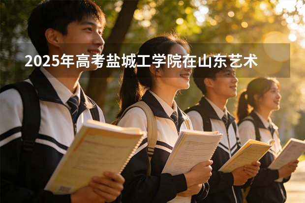 2025年高考盐城工学院在山东艺术类投档分数线是多少（2026参考）