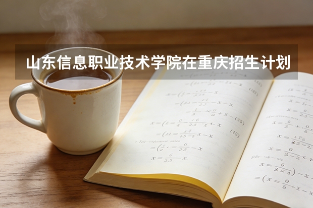 山东信息职业技术学院在重庆招生计划多少人（2026参考）