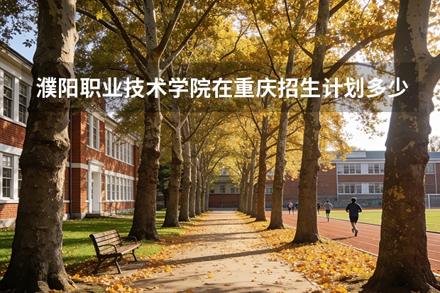 濮阳职业技术学院在重庆招生计划多少人（2026参考）