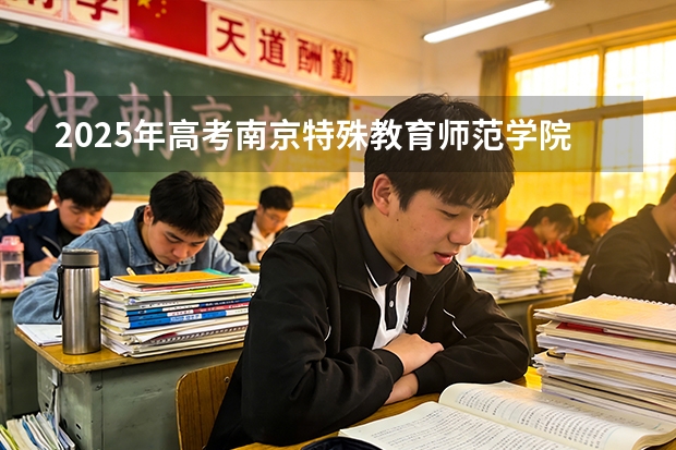 2025年高考南京特殊教育师范学院在山东艺术类投档分数线是多少（2026参考）