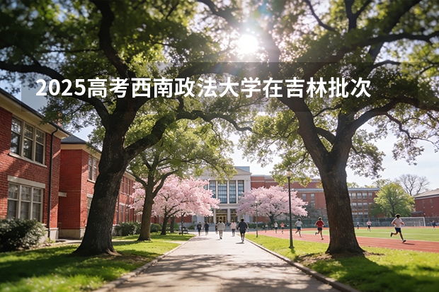 2025高考西南政法大学在吉林批次线差（2026参考）