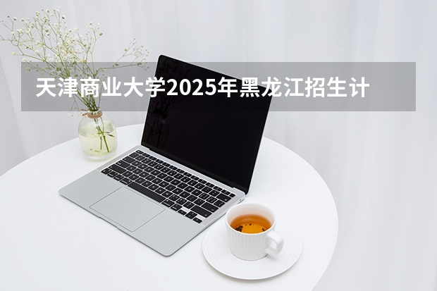 天津商业大学2025年黑龙江招生计划总览（2026高考志愿参考）