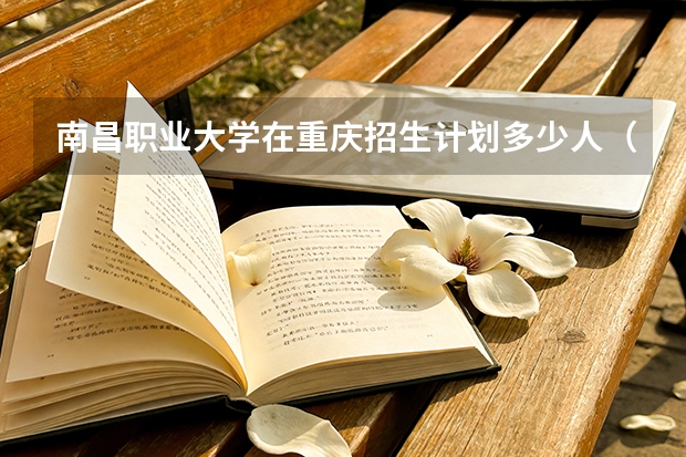 南昌职业大学在重庆招生计划多少人（2026参考）