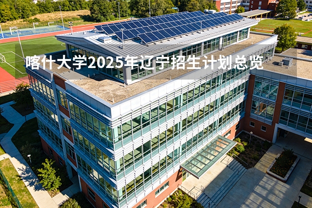 喀什大学2025年辽宁招生计划总览（2026高考志愿参考）