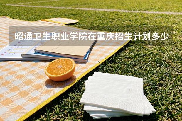 昭通卫生职业学院在重庆招生计划多少人（2026参考）