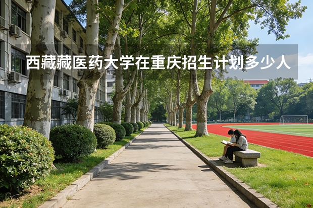 西藏藏医药大学在重庆招生计划多少人（2026参考）