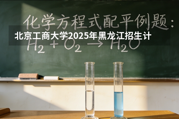 北京工商大学2025年黑龙江招生计划总览（2026高考志愿参考）