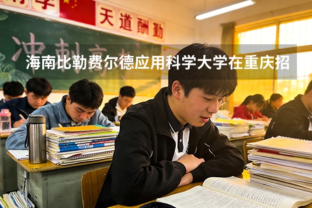 海南比勒费尔德应用科学大学在重庆招生计划多少人（2026参考）