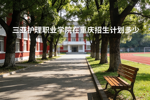 三亚护理职业学院在重庆招生计划多少人（2026参考）