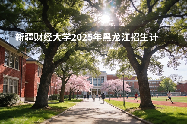新疆财经大学2025年黑龙江招生计划总览（2026高考志愿参考）