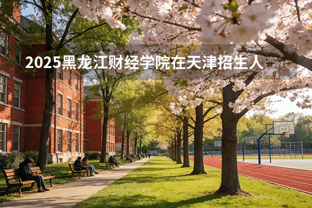 2025黑龙江财经学院在天津招生人数汇总（2026参考）