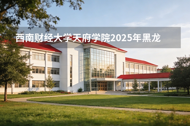 西南财经大学天府学院2025年黑龙江招生计划总览（2026高考志愿参考）