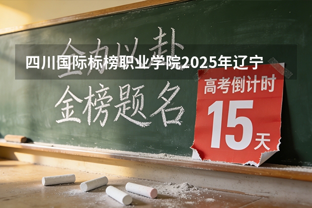 四川国际标榜职业学院2025年辽宁招生计划总览（2026高考志愿参考）