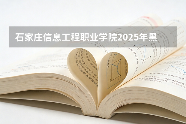 石家庄信息工程职业学院2025年黑龙江招生计划总览（2026高考志愿参考）