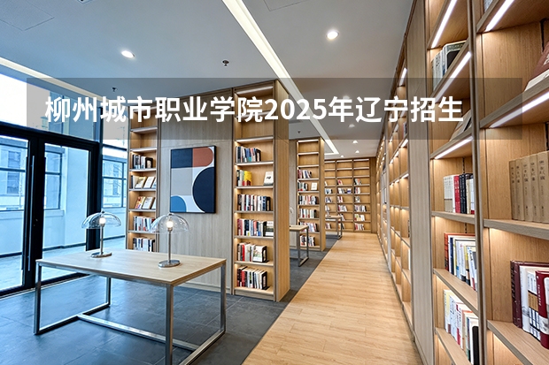 柳州城市职业学院2025年辽宁招生计划总览（2026高考志愿参考）