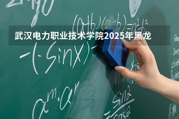 武汉电力职业技术学院2025年黑龙江招生计划总览（2026高考志愿参考）
