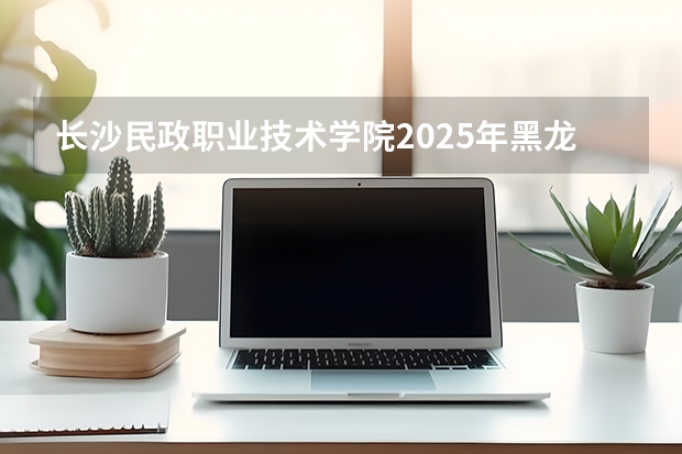 长沙民政职业技术学院2025年黑龙江招生计划总览（2026高考志愿参考）