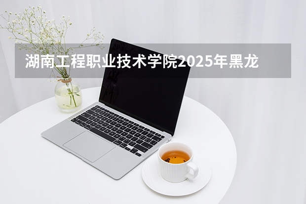 湖南工程职业技术学院2025年黑龙江招生计划总览（2026高考志愿参考）