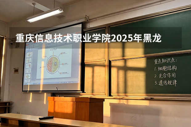 重庆信息技术职业学院2025年黑龙江招生计划总览（2026高考志愿参考）