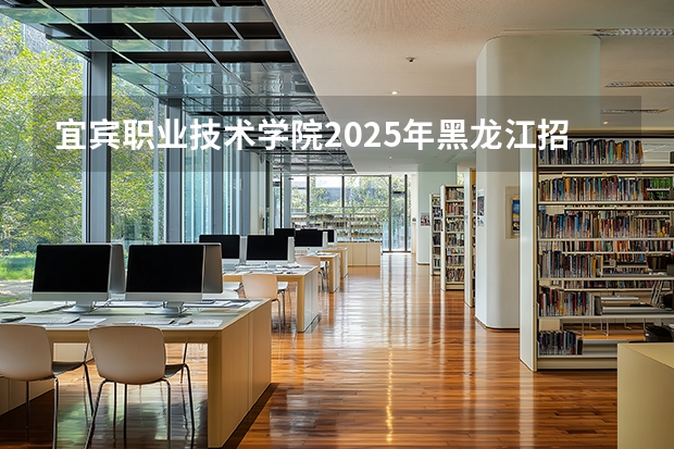 宜宾职业技术学院2025年黑龙江招生计划总览（2026高考志愿参考）