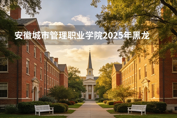 安徽城市管理职业学院2025年黑龙江招生计划总览（2026高考志愿参考）