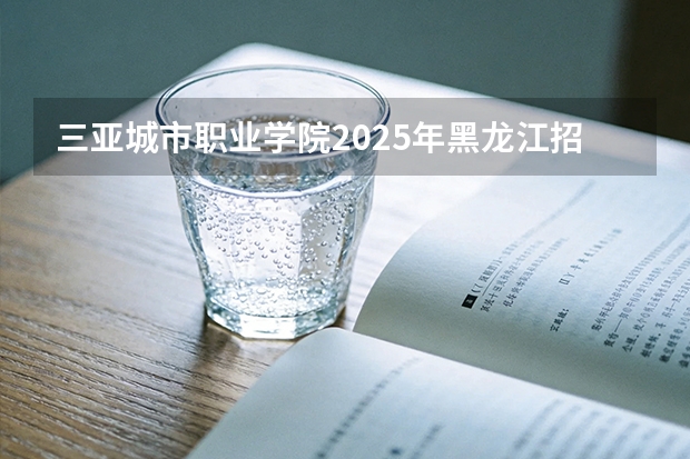 三亚城市职业学院2025年黑龙江招生计划总览（2026高考志愿参考）