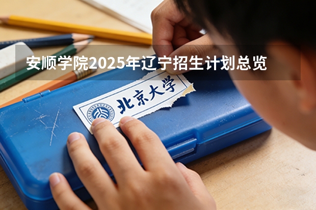 安顺学院2025年辽宁招生计划总览（2026高考志愿参考）