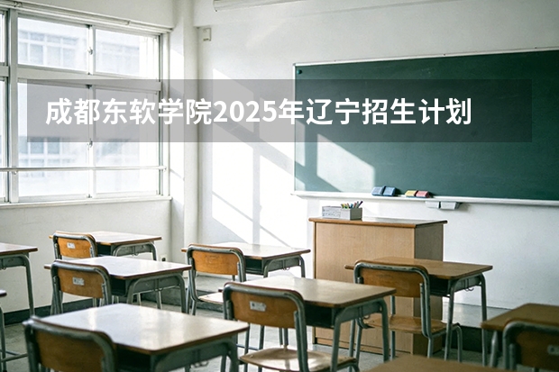 成都东软学院2025年辽宁招生计划总览（2026高考志愿参考）