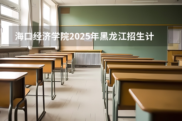 海口经济学院2025年黑龙江招生计划总览（2026高考志愿参考）